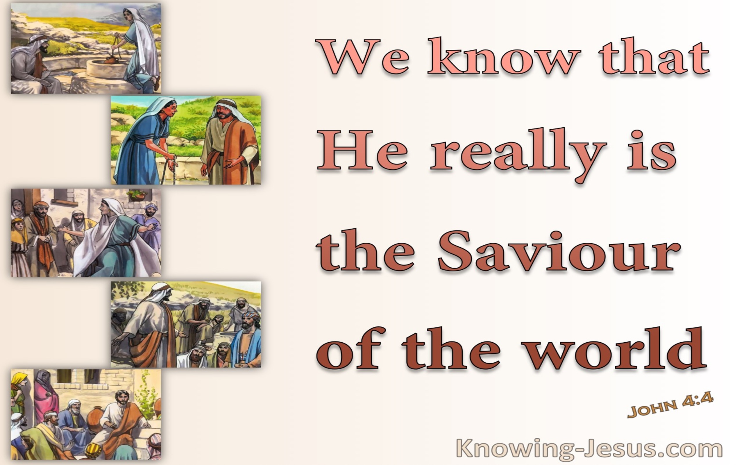 John 4:42 We Know He Is The Saviour (brown)